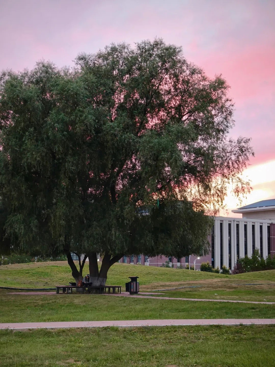 2025年“朋辈协力·心理成长”系列活动——数学学院研究生成功开展两院联动“光影寻静，破‘卷’而出”随手拍大赛